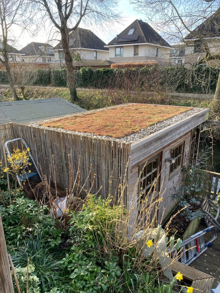 Garagedach begrünen