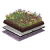 Sedum-Kräuter Gründach