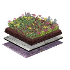 Sedum-Kräuter Gründach