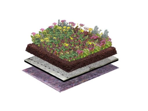 Sedum-Kräuter Gründach