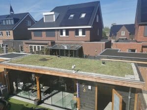 sedumdak_vuren1