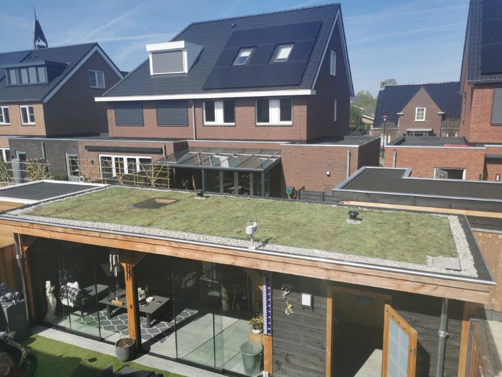 sedumdak_vuren1