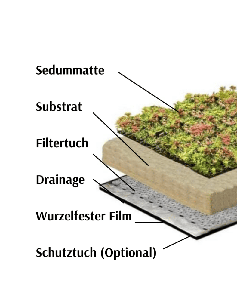 Aufbau Dachbegrünung