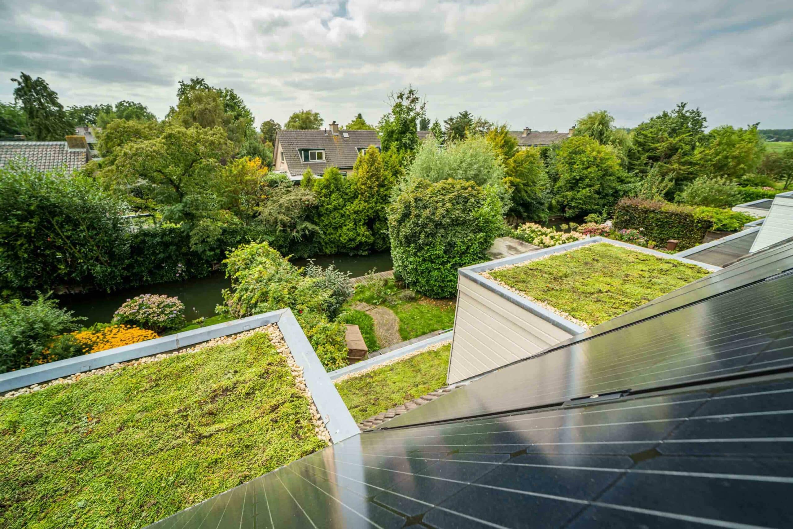 Solar und Dachbegrünung