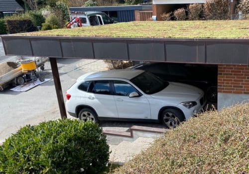 Dachbegrünung Projekte Garage