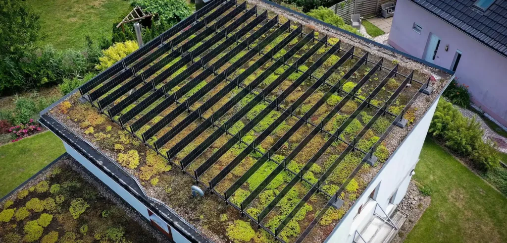Solargründach SedumDachbegrünung