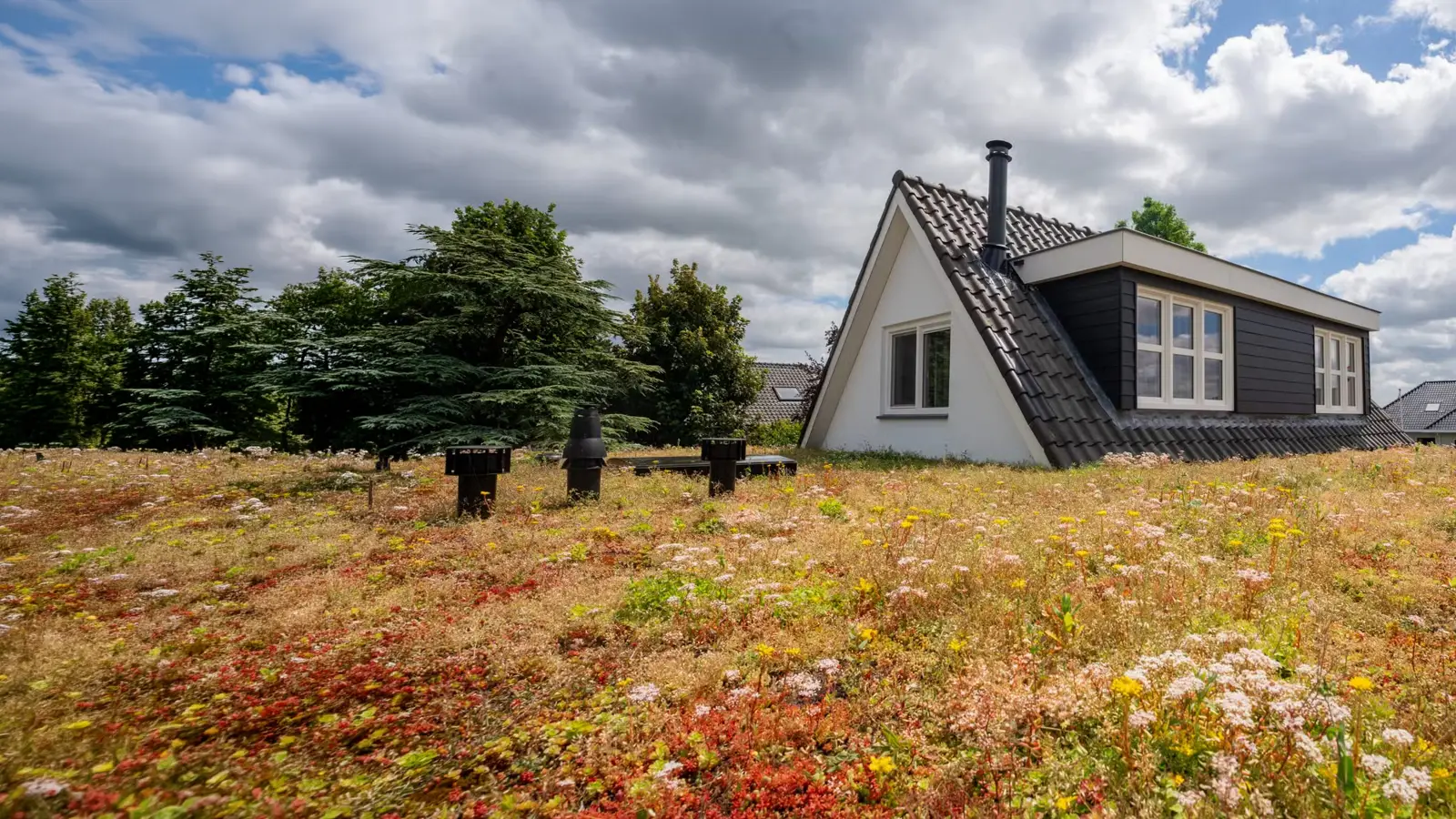 Wohnhaus mit großem Dach mit Sedum-Dachbegrünung